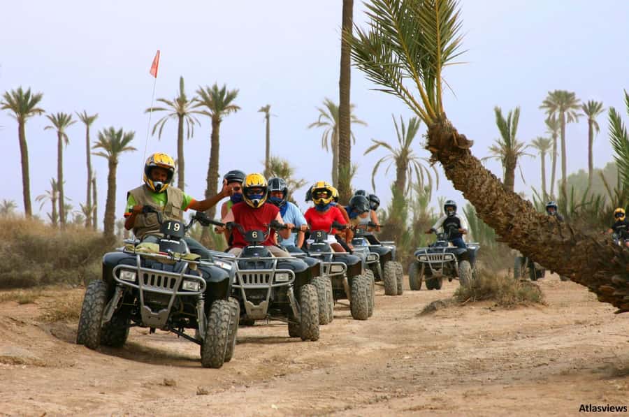 From Marrakech: Adventure Quad Ride in La Palmeraie - The 2-Hour Quad Ride Through Palms, Dirt Roads, and Village Edges