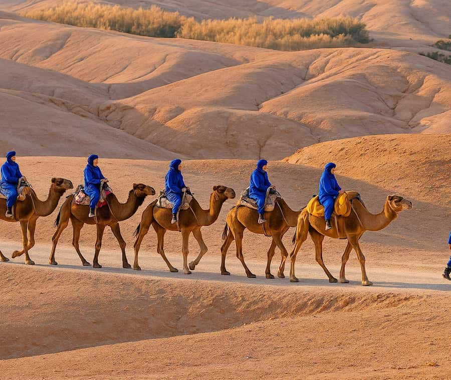 From Marrakech: Agafay Desert Dinner and Optional Camel Ride - Lake Takerkoust and the herbal tea welcome, more than a photo break