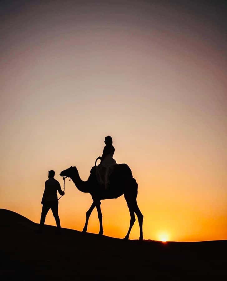 From Marrakech: Agafay Desert Dinner and Optional Camel Ride - Argan cooperative stop: why it adds meaning (and why to stay alert)