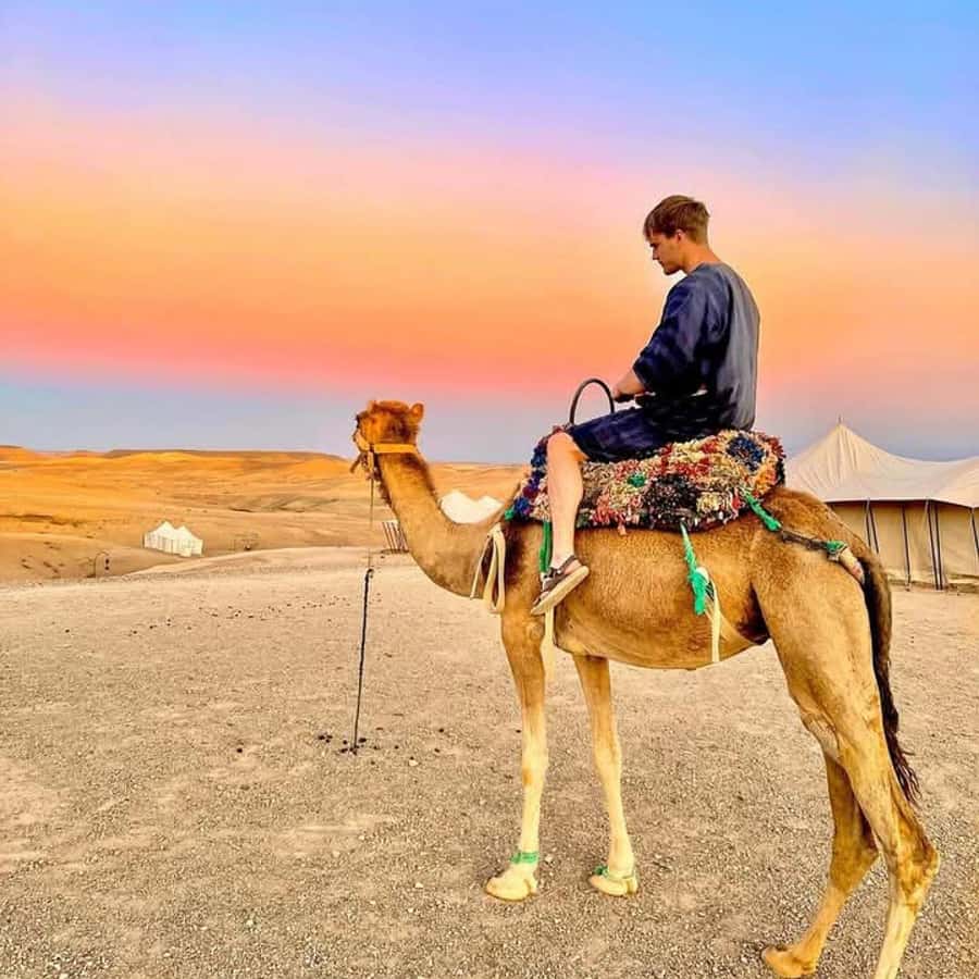 From Marrakech: Agafay Desert Dinner with Quad & Camel Ride - Why Agafay at Sunset Feels Like a Real Trip