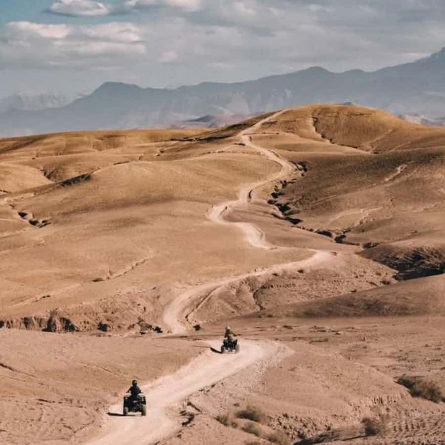 From Marrakech: Agafay Desert Dinner with Quad & Camel Ride - Who Should Book This Agafay Dinner With Quad and Camel Ride
