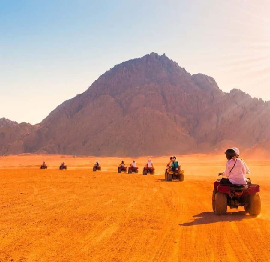 From Marrakech: Agafay Desert Quad Biking with Dinner & Show - Price and what you really get for $61