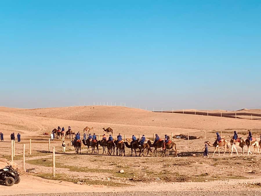 From Marrakech: Agafay Desert Sunset, Camel Ride, and Dinner - From Marrakech pickup to the Agafay camp: what the ride is really like