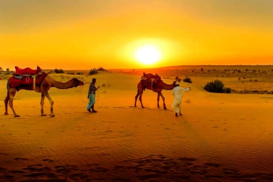 From Marrakech : Agafay Desert Sunset Dinner with Camel Ride - Who this Agafay sunset dinner tour suits best