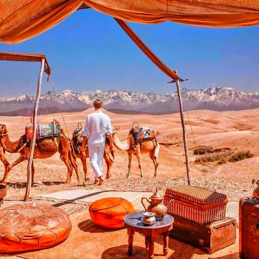 From Marrakech: Agafay Desert Sunset Dinner with Live Show - Key highlights to look forward to