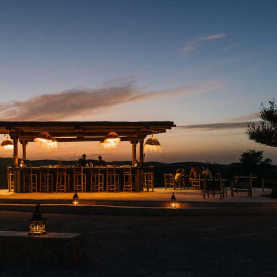 From Marrakech: Agafay Desert Sunset Dinner with Live Show - Who should book this Agafay sunset dinner, and who might skip