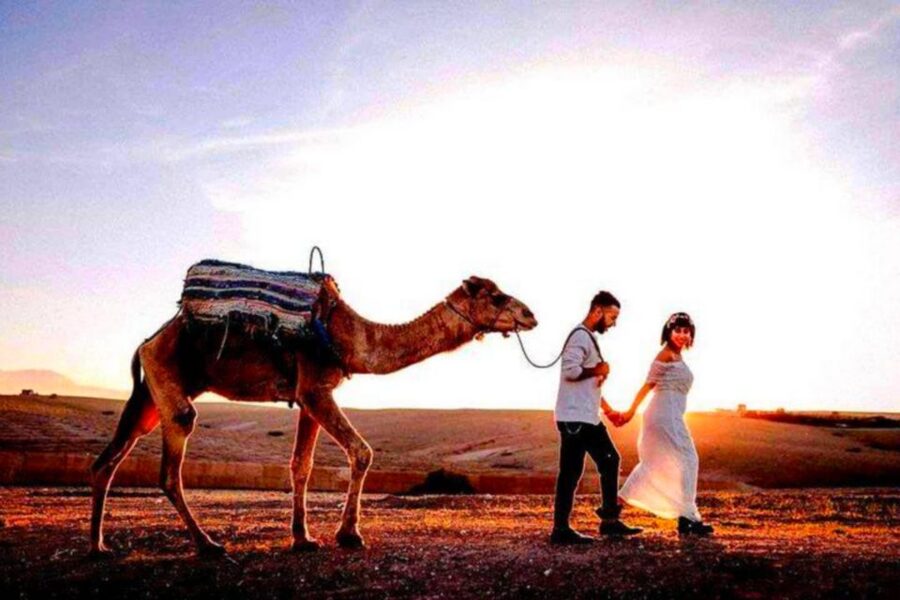From Marrakech: Agafay Desert Sunset Dinner with Live Show - Timing and comfort for a 4 hour desert night