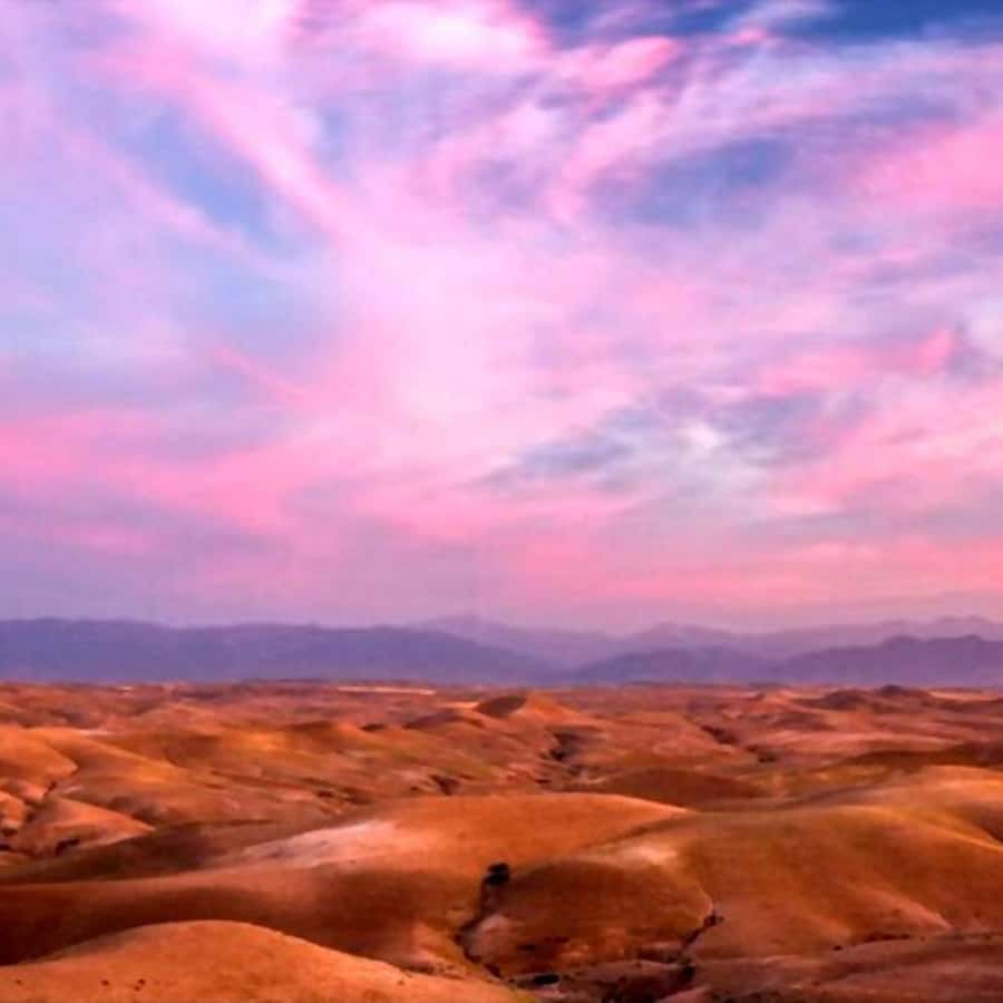 From Marrakech: Agafay Desert Sunset Dinner with Live Show - Price and value: why $27 can be a fair deal