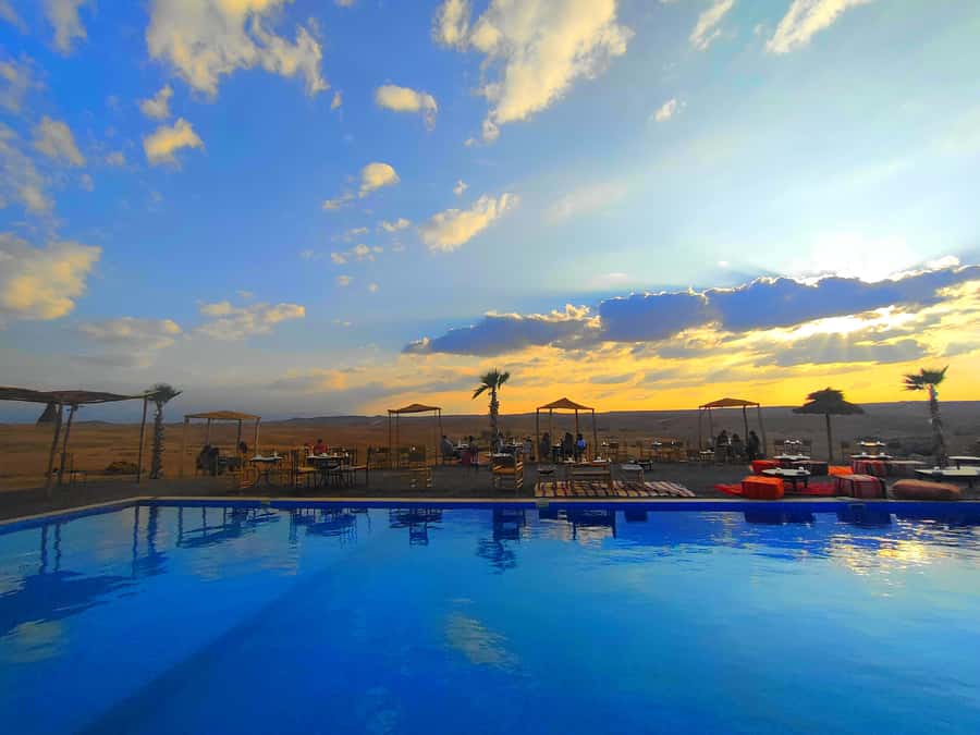 From Marrakech: Agafay Desert Sunset Dinner with Live Show - Women’s argan cooperative: why the hand-ground part hits