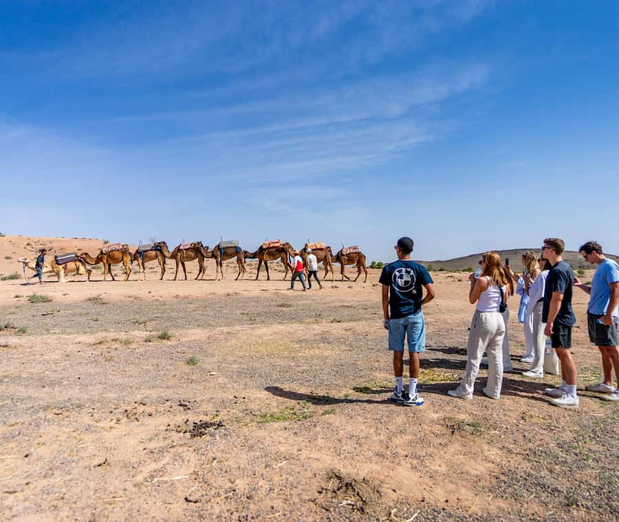 From Marrakech: Agafay Sunset Camel Tour with Dinner & Show - Tea Stops, Photo Stops, Shopping, and the Local Stops You Might Enjoy