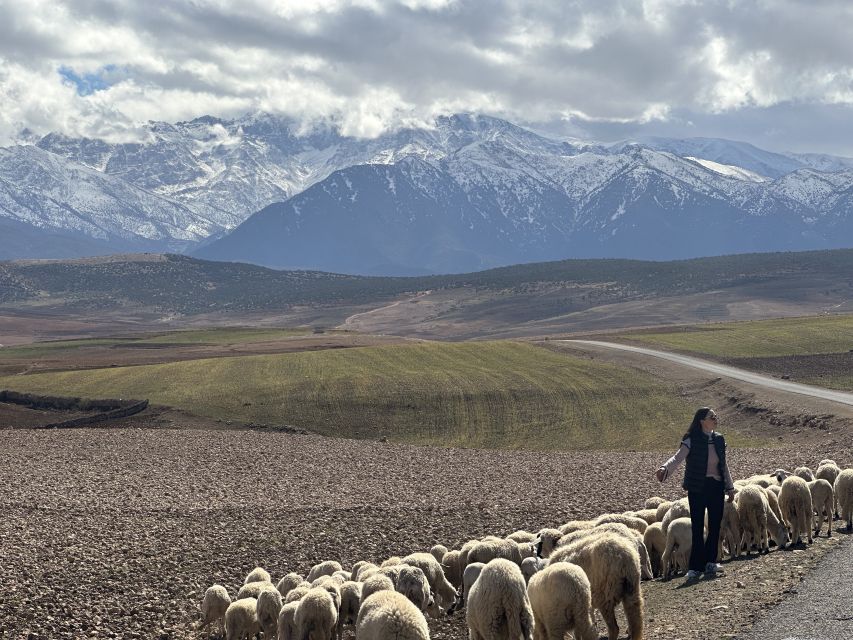 From Marrakech: Atlas Mountains 4-Day Hike with Hotels - Key highlights worth planning for