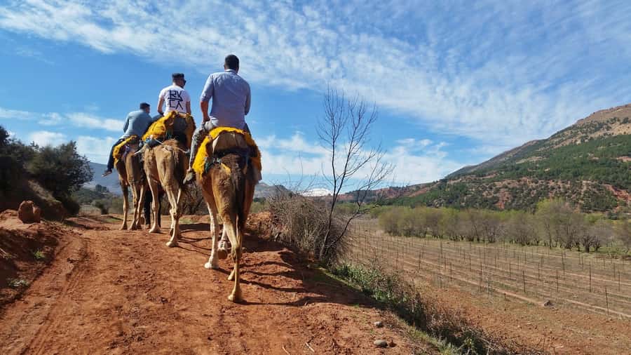 From Marrakech: Atlas Mountains 45-Minute Horseback Ride - Tahnaout to the saddle: equipment, how the ride is paced, and what you will actually see