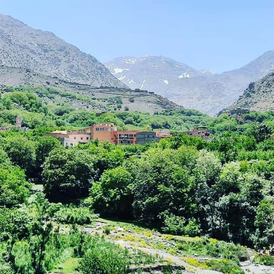 From Marrakech: Atlas Mountains and Berber Village Day Trip - The 1 to 2 hour walk in orchards: walnuts, barley, herders, and a spring stop