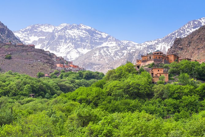 From Marrakech: Atlas Mountains and Berber Villages Day Trip - The guide, the group, and why the small details matter