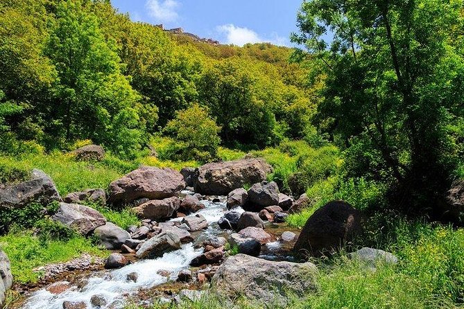From Marrakech: Atlas Mountains and Berber Villages Day Trip - First stop: pickup at 8:00, Ourika Valley drive, and a Berber village introduction