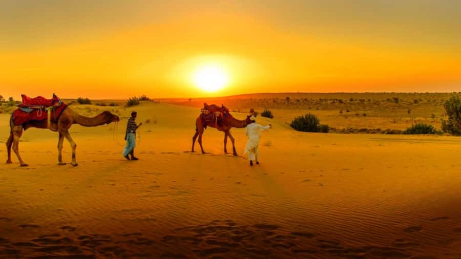 From Marrakech: Atlas Mountains and Three Valleys Day Trip - Azrou and the argan oil women’s cooperative stop