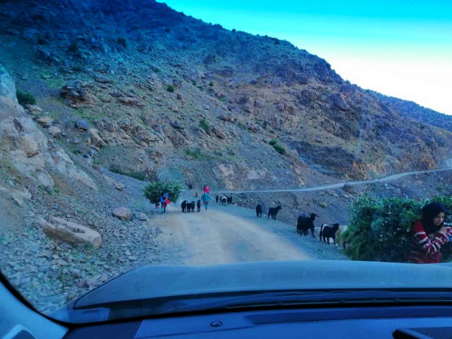 From Marrakech: Atlas Mountains and Three Valleys Day Trip - Amizmiz Valley mint tea, cookies, and local conversation