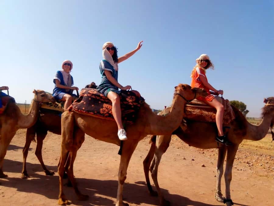 From Marrakech: Atlas Mountains and Three Valleys Day Trip - The waterfall hike through Berber valley terrain