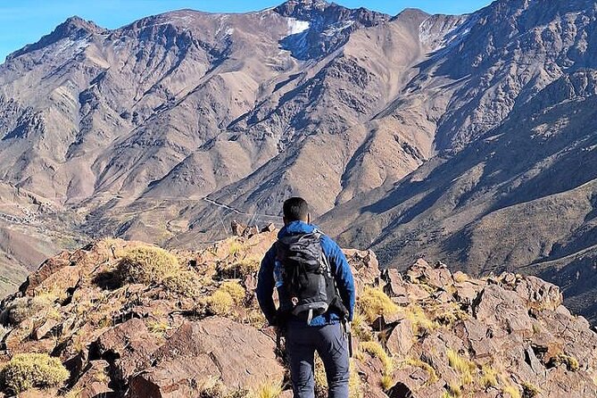 From Marrakech: Atlas Mountains Day Hike Experience - Price And Value: Why This Often Feels Like A Bargain