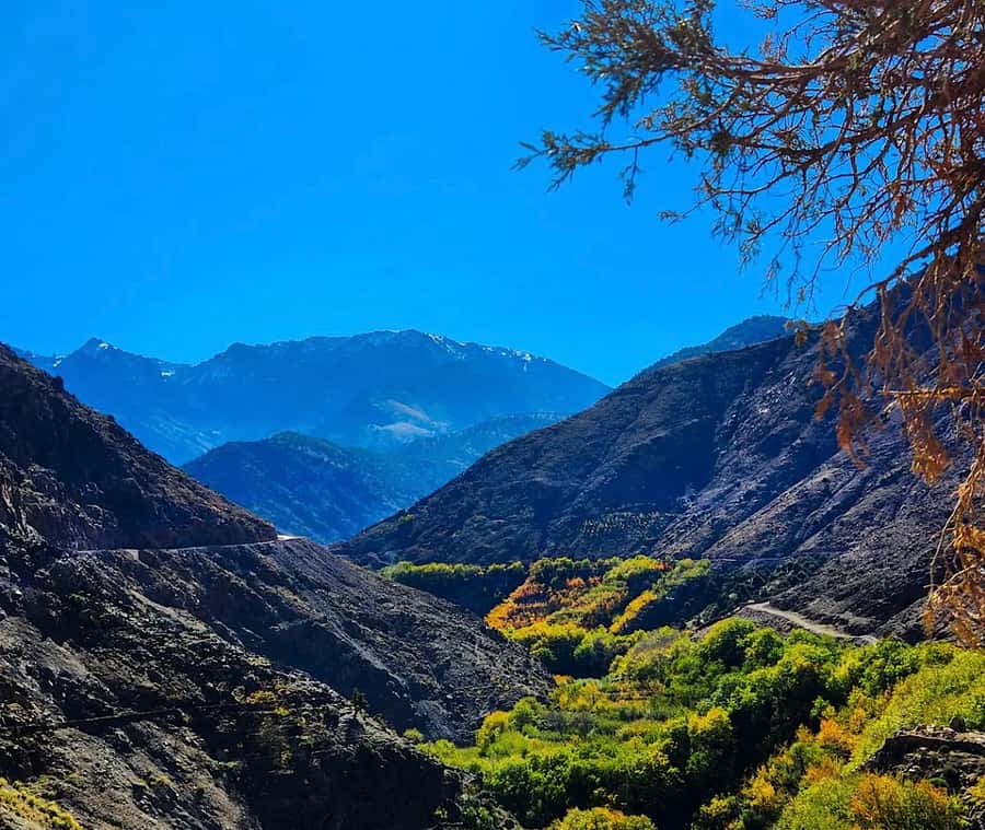 From Marrakech: Atlas Mountains Day Trip with Camel Ride - Who should book this Atlas Mountains day trip (and who should skip it)