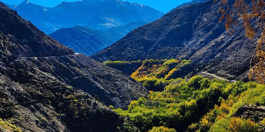 From Marrakech: Atlas Mountains Day Trip with Camel Ride - Ait Souka lunch at a Berber guest house: the meal is part of the itinerary