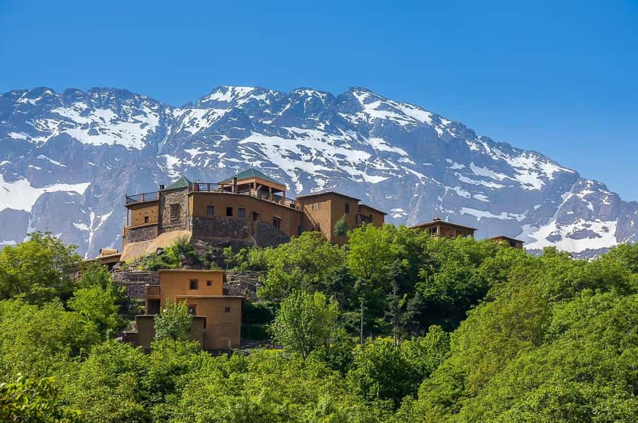 From Marrakech: Atlas Mountains Day Trip with Camel Ride - Tahnaout and Asni stops: markets, tea breaks, and argan oil reality checks