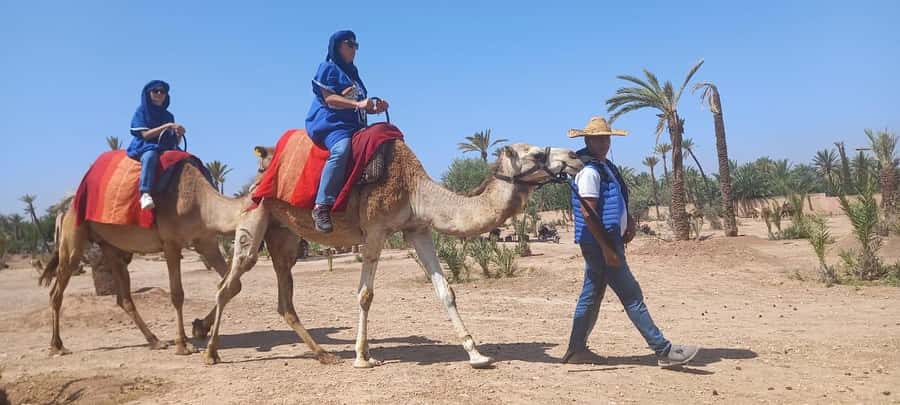 From Marrakech: Camel ride in the oasis palmeraie Grove - Getting Fitted Up: Nomadic Clothing and the Sheish Scarf