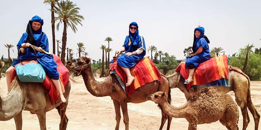 From Marrakech: Camel ride in the oasis palmeraie Grove - Camelback Through the Palmeraie: What the One-Hour Ride Feels Like