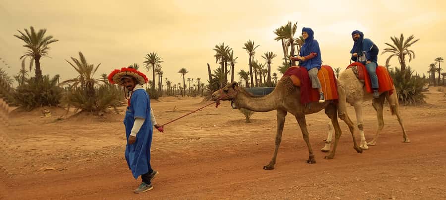 From Marrakech: Camel ride in the oasis palmeraie Grove - The 3-hour Plan, From Hotel Pickup to Palmeraie Return