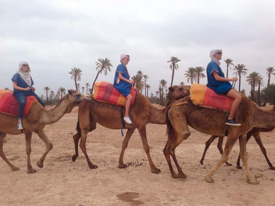 From Marrakech: Camel Ride, Quad Bike & Spa Full-Day Trip - From Marrakech to the Palmeraie: The Day’s Simple, Smart Structure
