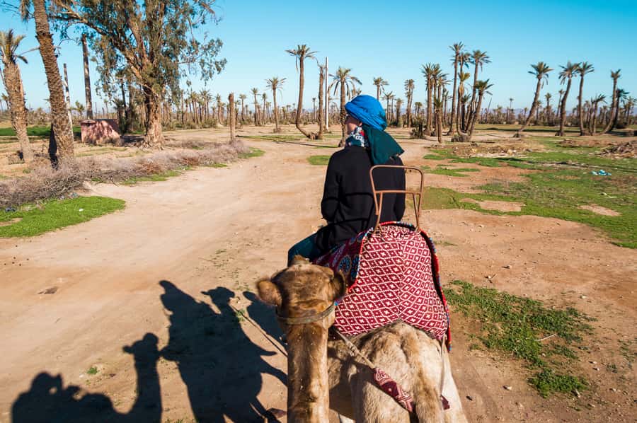 From Marrakech: Camel Ride, Quad Bike & Spa Full-Day Trip - Pickup and Timing: How to Avoid the Usual Day-Trip Stress