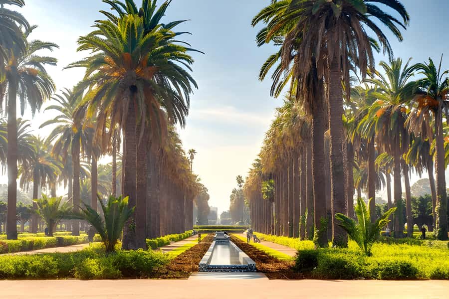 From Marrakech: Casablanca Day Trip by van - Moroccan lunch: budget it, and let the guide handle the timing