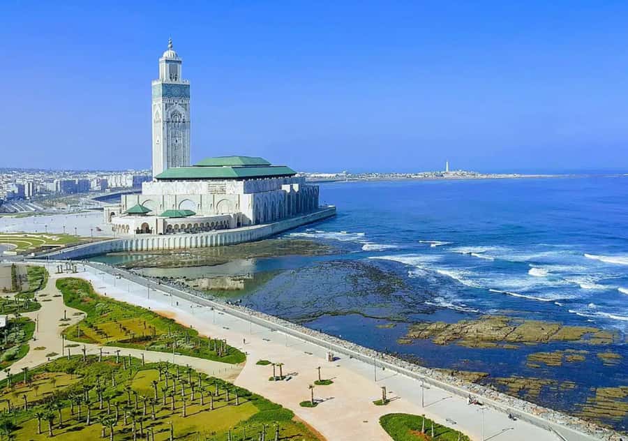 From Marrakech: Casablanca Tour with Hassan II Mosque Visit - Price and logistics: what $28 really buys