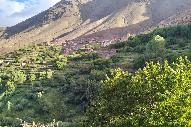 From Marrakech Day Hike to Tizi Mazaik Mountain 2400m - Key highlights to notice before you go