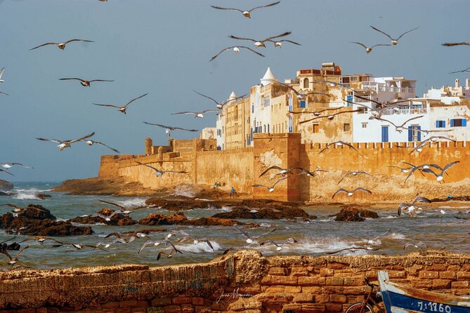 From Marrakech: Day Journey to Essaouira Mogador - Camel ride and tea breaks that keep the day personal