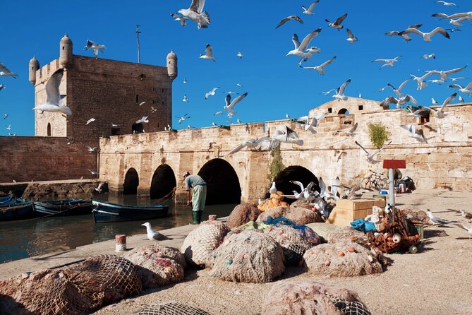From Marrakech: Day Journey to Essaouira Mogador - Entering Essaouira’s old Medina, then switching to beach time