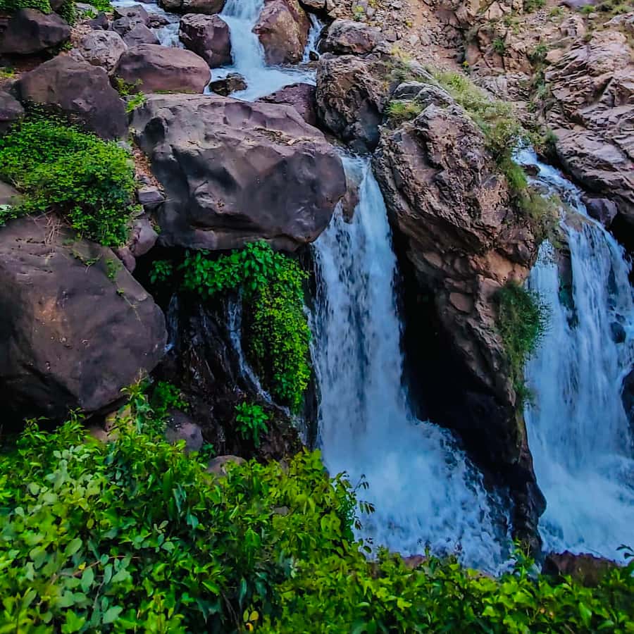 From Marrakech: Day Trip to Anima Garden and Imlil Valley - Key things that make this trip worth considering