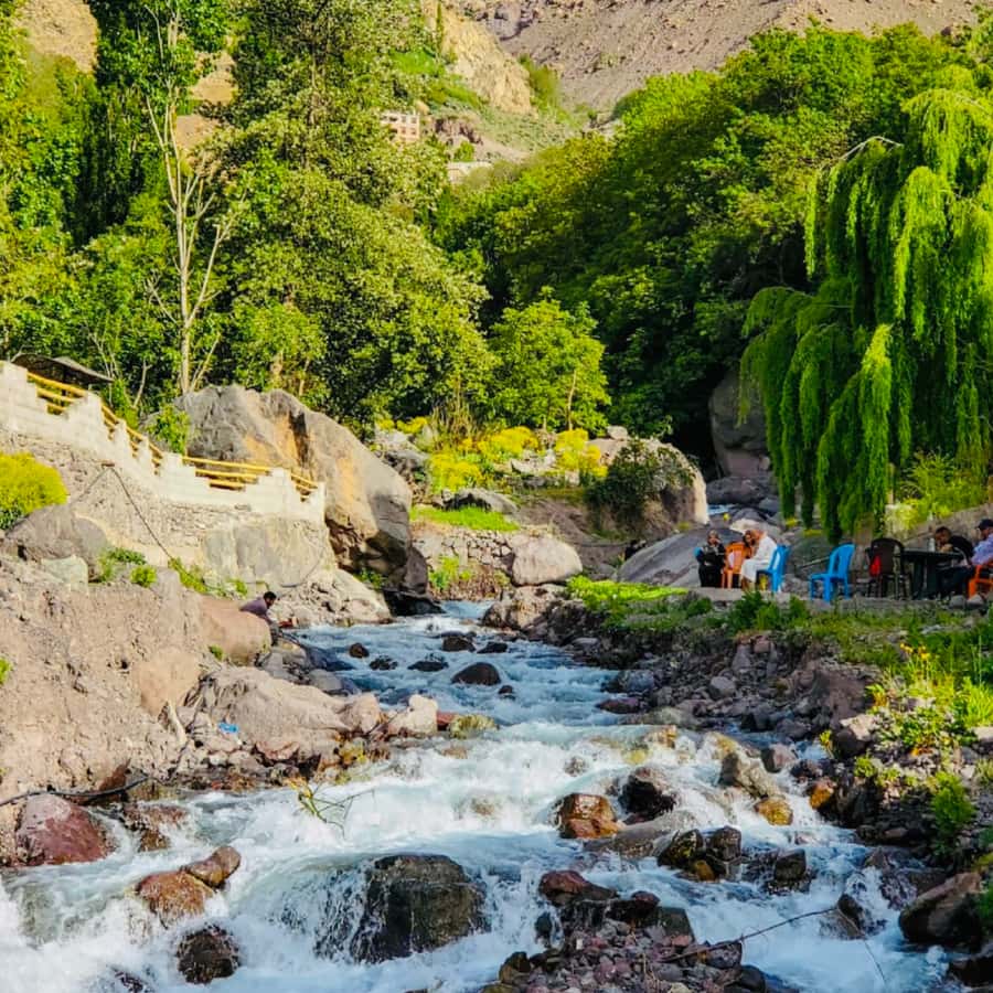 From Marrakech: Day Trip to Anima Garden and Imlil Valley - Price, what is included, and the garden ticket reality check