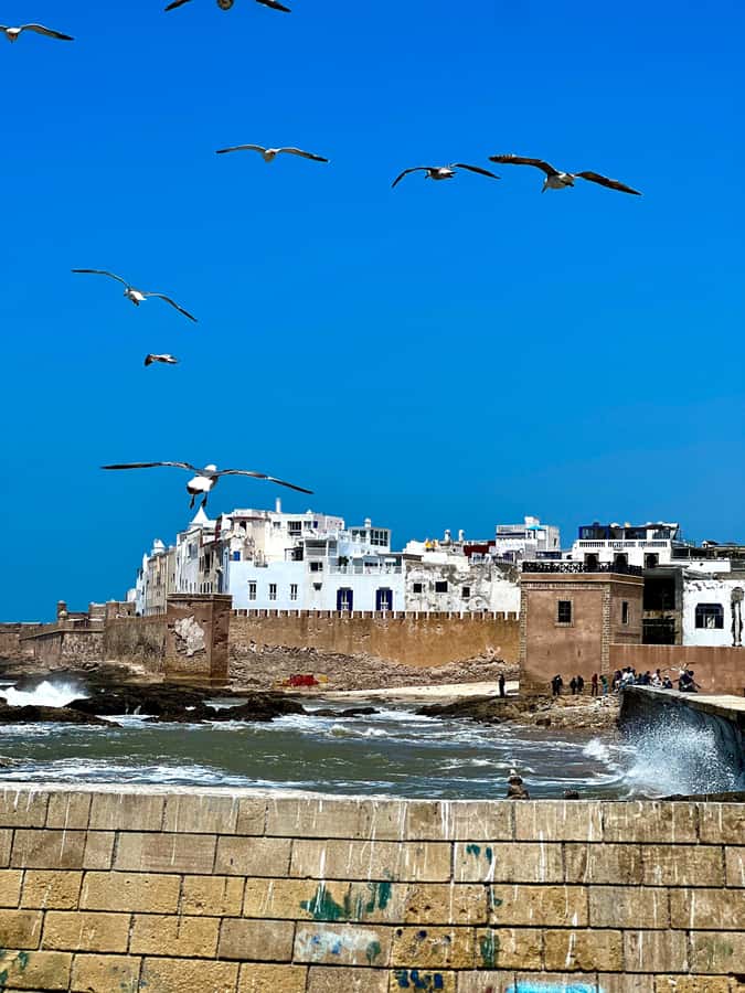 From Marrakech: Day Trip to Essaouira with Transfers - Pickup points, WhatsApp updates, and how the day stays on rails