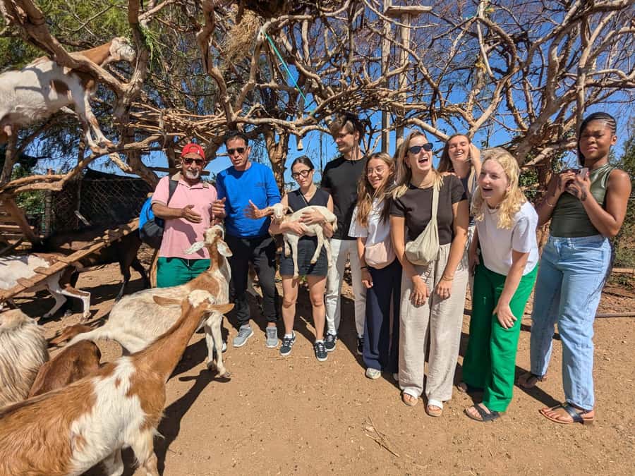 From Marrakech: Day Trip to Essaouira with Transfers - Essaouira Citadel: ramparts, bastions, and Atlantic photo angles