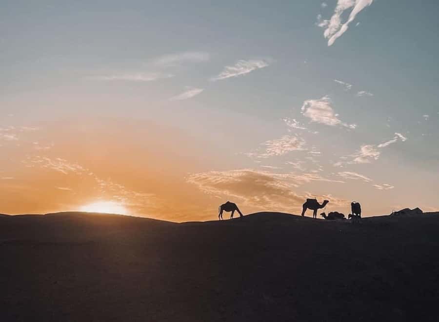 From Marrakech: Dinner show in Agafay Desert & Sunset Quad - Leaving Marrakech: The 45-Minute Drive, Photo Stop, and Argan Tea Break