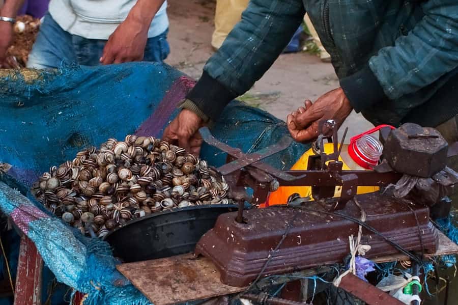 From Marrakech: Essaouira & Atlantic Coast Full-Day Trip - Essaouira Arrival: First Beaches, Wind, and Golden Light
