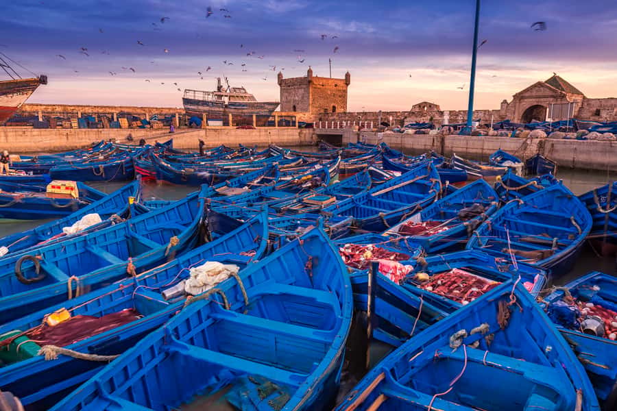 From Marrakech: Essaouira & Atlantic Coast Full-Day Trip - Skala du Port and Ramparts: The Best Place to Take Your Time
