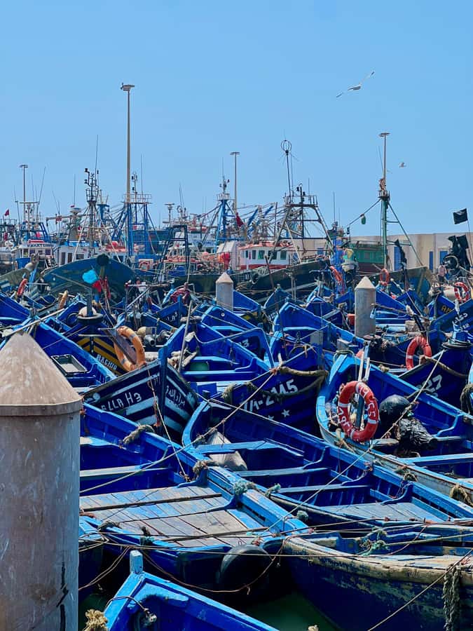 From Marrakech: Essaouira Coastal City Day Trip - Key Highlights You’ll Care About