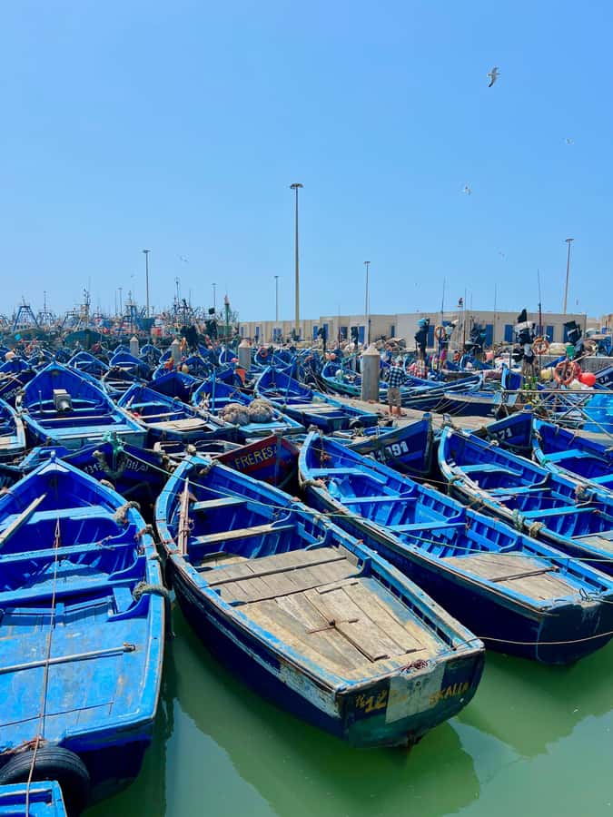 From Marrakech: Essaouira Coastal City Day Trip - Who This Day Trip Fits Best (And Who Might Want Something Else)