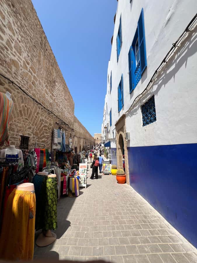 From Marrakech: Essaouira Coastal City Day Trip - The Argan Oil Women’s Cooperative, Goats in Trees, and a Wood Workshop