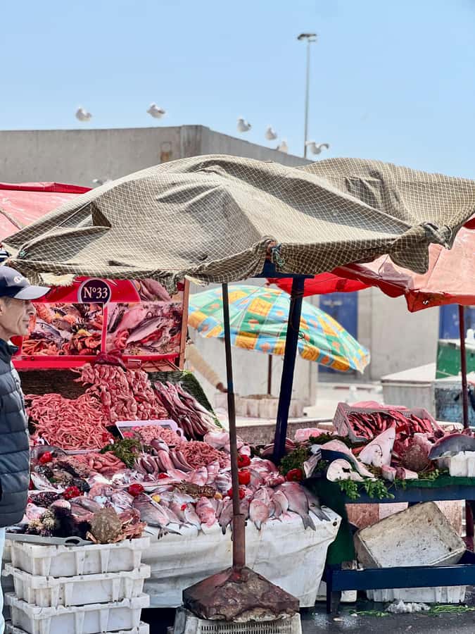 From Marrakech: Essaouira Coastal City Day Trip - Your 4 Hours Free Time: How to Use It Well