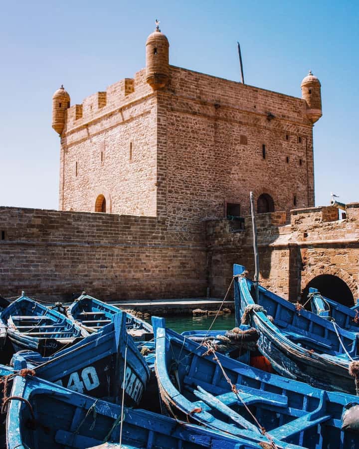 From Marrakech: Essaouira Coastal City Day Trip - Wind, Cold, and What to Pack for the Atlantic Day