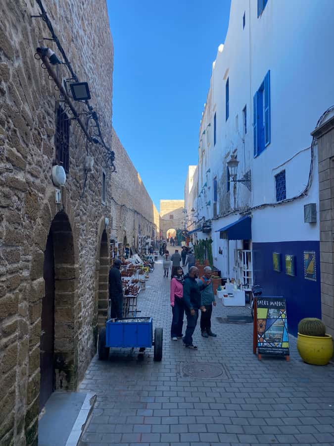 From Marrakech: Essaouira Coastal City Day Trip - Morning Pickup and the Comfort Factor