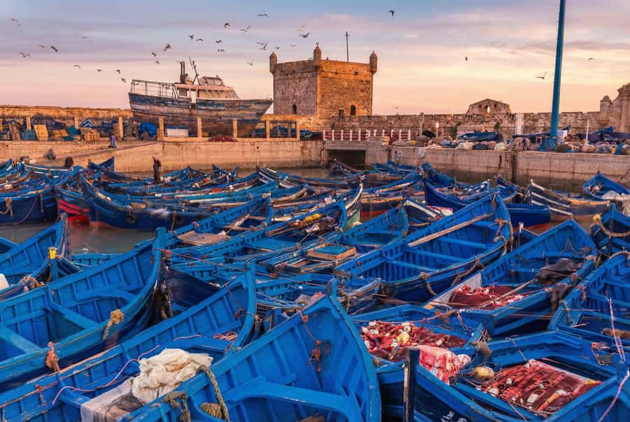 From Marrakech: Essaouira Coastal Escape with Lunch - Pickup options and van comfort from Marrakech